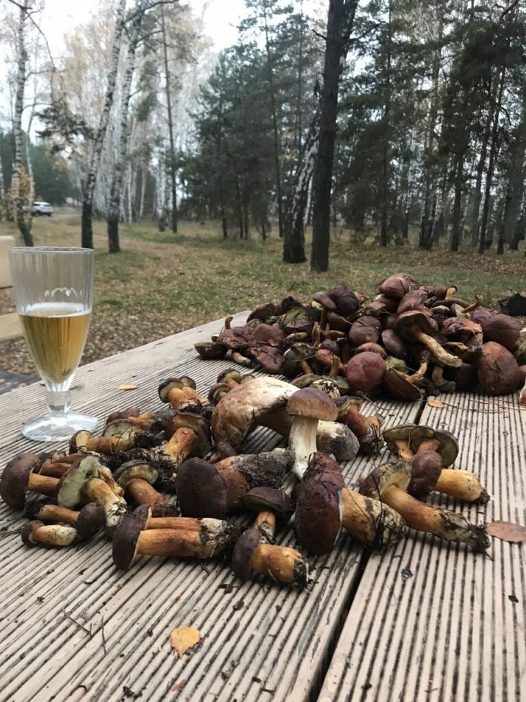 Сауна Savin
